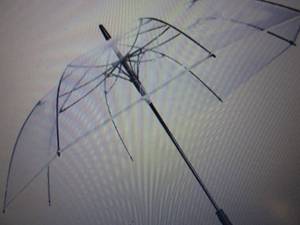 R. Horse 62 inch Transparent Golf U...