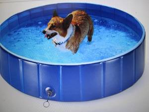 LIFEFAIR Foldable Dog Pool Hard Pla...