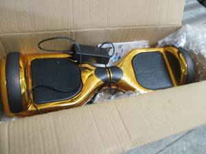 GlareWheel 36V Hoverboard - Chrome ...