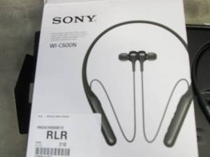 Sony WI-C600N Wireless Noise Cancel...