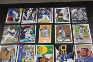 Vladimir Guerrero Jr Baseball Card Lot  20 Different Cards (2 Rookie Cards)