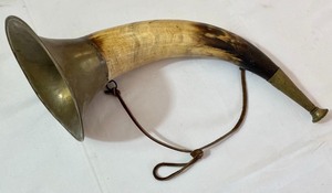 lot 239 image: Horn Decor