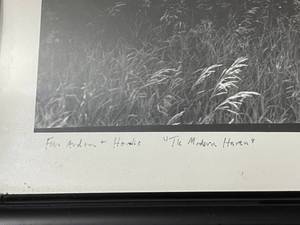 lot 113 image:  The Modern Haven Framed Black and White Print