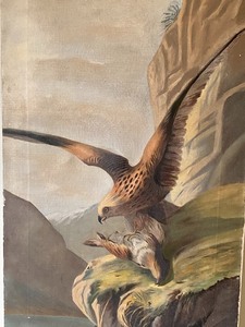 lot 48 image: Vintage Hawk Oil on Canvas Painting