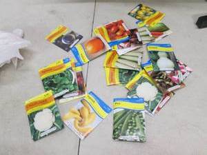 25 packets of seeds ...