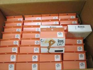 Case of 36 1 pair boxes leggs to Go...
