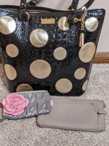 Fun Brahmin Black &amp Gold Purse and Accessories&nbsp