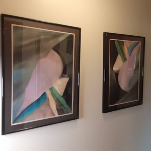 Set of (2) Lovely AKOR Framed Abstract Wall Art&nbsp