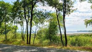 NEST LAKE XXX 56th St NE Spicer MN - Property ID 273000250