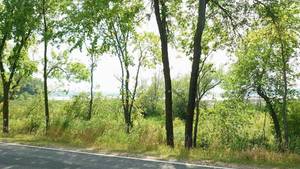 NEST LAKE YYY 56th St NE Spicer MN - Property ID 273000260