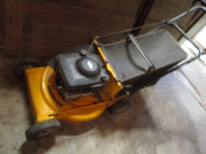 Trim Mower