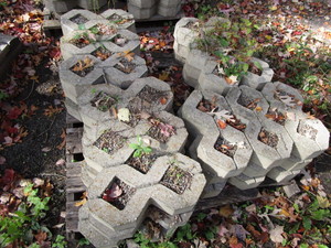 Zig Zag Cement Pavers