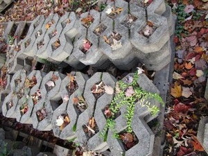 Zig Zag Cement Pavers