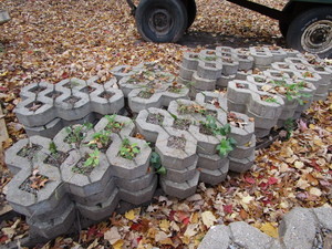 Zig Zag Cement Pavers