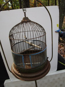 Bird Cage & Stand