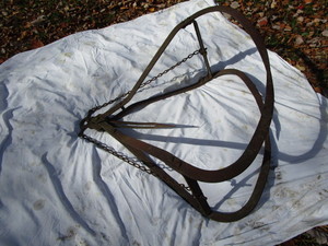 Hay Grapple Hook