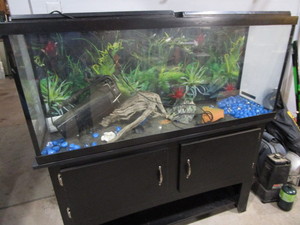 Aquarium & Stand