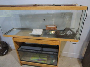 Reptile Cages, Stand