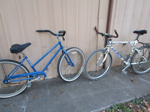 Schwinn & Trek Bikes