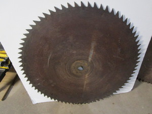 Buzz Saw Blade