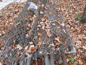 Kennel