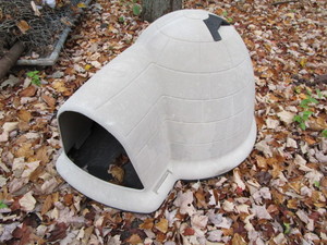 Igloo Dog House