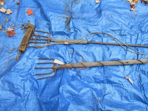 Frog Gig  Fishing Spears