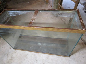 Aquarium