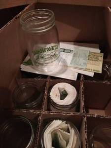 Collection Of 12 Swamp-Glasses With Recipe Cards