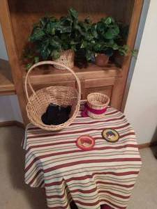 Collection Of Dcor