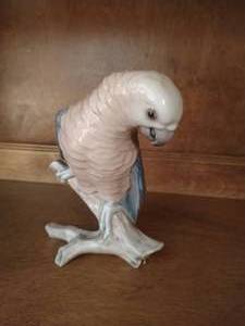 B&G Parrot