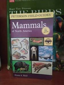 Collection of Bird Watching Books