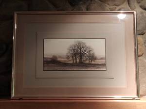 Large Gold Framed Art