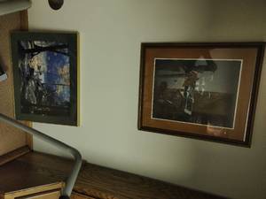 Framed Racoon Print & Vintage Forest Print