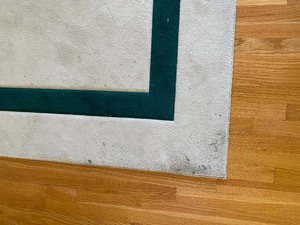Woodward area rug
