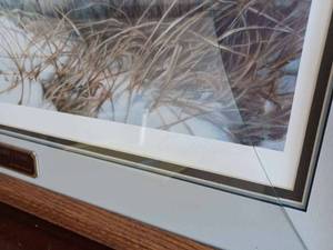 lot 15 image: Snow Cave - Lynx by Artist Nance Glazier - Signed, 11041200, Frame Glass is Broken