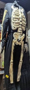 lot 7 image: Handmade Hanging Skeleton