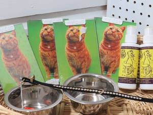 Cat Supplies