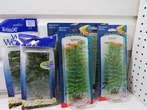 Aquarium Plants