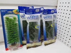 Aquarium Plants