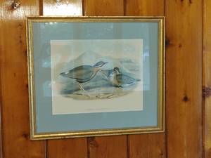 lot 22 image: Frame Bird Print