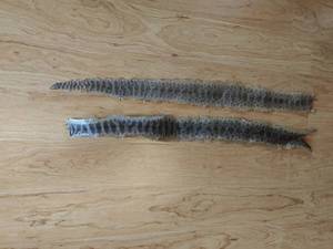lot 32 image: Two Rattlesnake Skins