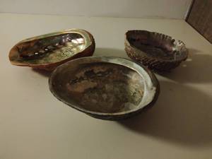 lot 286 image: Three Large Shells