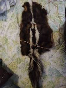 lot 312 image: Pelt