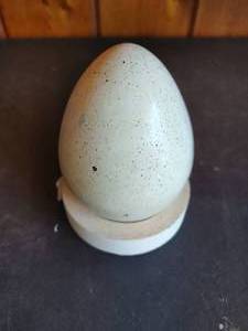 lot 323 image: Large Egg