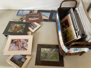 lot 227 image: Original photos by Arlene Lyons