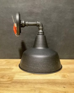 Home Decorators Collection 1-Light Gilded Iron 12.4 in. Outdoor Wall Lantern Sconce. See Pictures