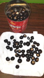 lot 50 image: Chestnuts (2 lb can)