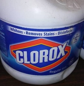 lot 68 image: Bleach 12  1 gal. Bottles.