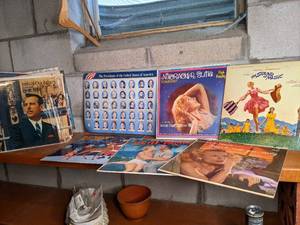 Collection of Vintage Vinyl Records South Pacific, Sound of Music, Waltz, Polka, Tango, Etc.&nbsp